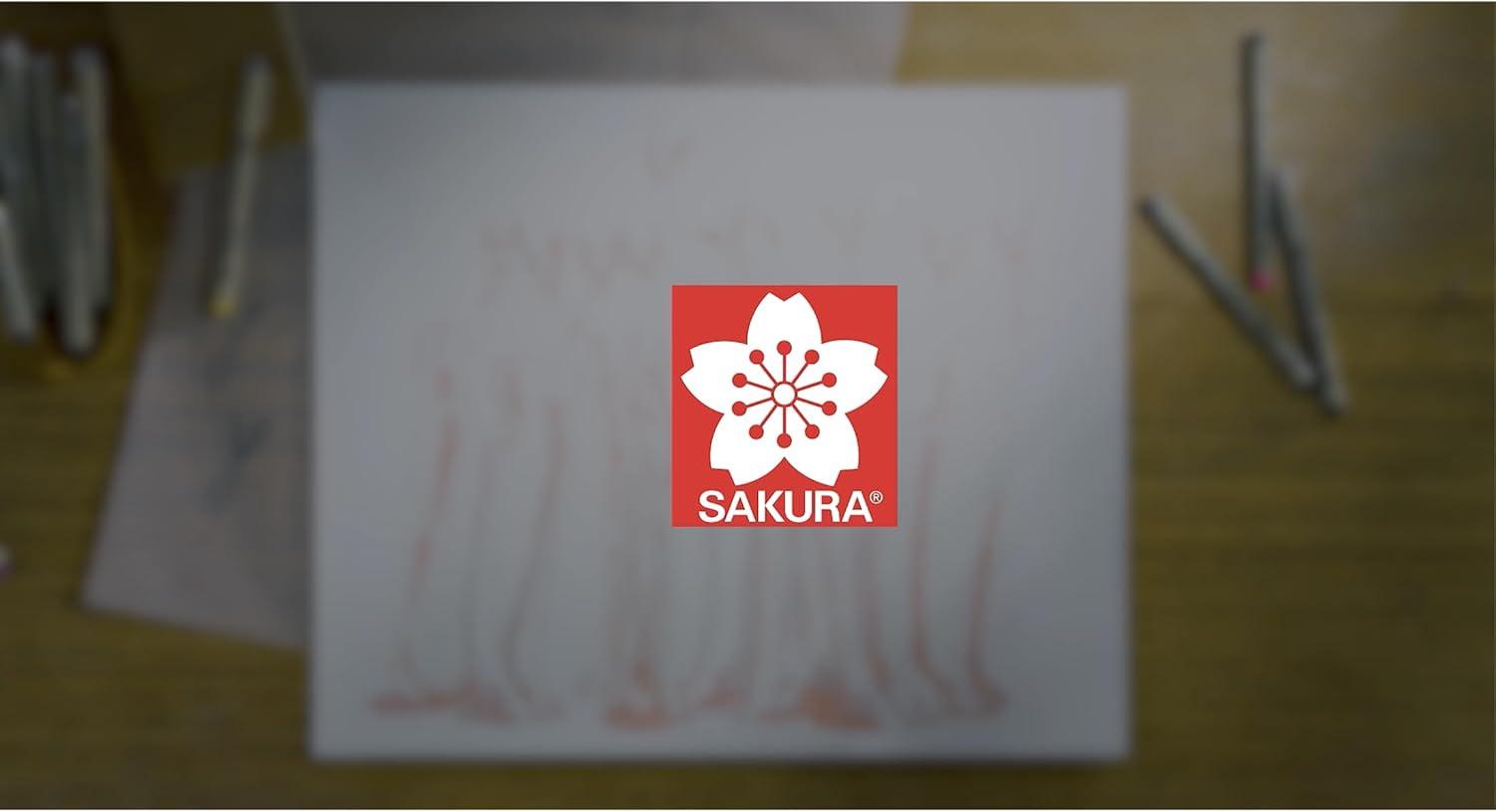 SAKURA Pigma Sketch Brush – Archival Ink Sketching Pens – Art Pens for Calligraphy, Hand Lettering & Writing – Assorted Archival Colors – 8 Pack
